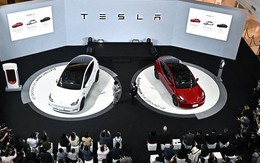 Tesla chính thức mở bán ô tô điện tại Thái Lan - bao giờ đến Việt Nam?