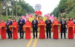 Khai mạc Lễ hội hoa và Festival nông sản, sản phẩm OCOP tại huyện Mê Linh