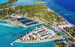 Những quốc gia hiếm hoi vẫn chưa chịu ảnh hưởng bởi COVID-19