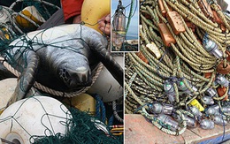 Lưới đánh cá gắn đèn LED giúp bảo vệ sinh vật biển nguy cấp