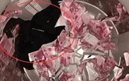 Kiểm tra máy giặt, vợ vừa tức vừa buồn cười khi thấy thứ rơi ra từ quần của chồng