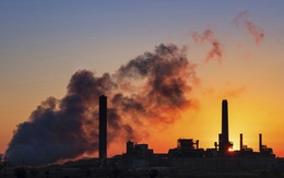 Ô nhiễm môi trường khiến nhiều người thiệt mạng hơn đại dịch COVID-19