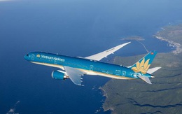 Nhật Bản bắt giữ nghi phạm dọa bắn rơi máy bay Vietnam Airlines, là thiếu niên 17 tuổi