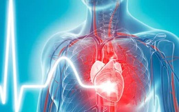 COVID-19 ảnh hưởng đến tim mạch thế nào?