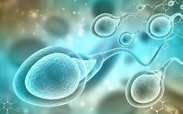 11 cách tốt nhất để tăng số lượng tinh trùng