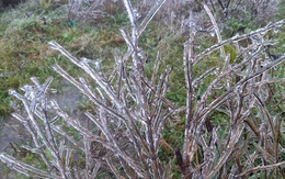 Clip băng tuyết phủ kín như thuỷ tinh trên đỉnh Mẫu Sơn, dân tình đã rục rịch "lên đồ" đi săn tuyết