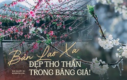 Ảnh: Vẻ đẹp băng giá của bản Lao Xa ở Hà Giang những ngày "âm độ C", tiên cảnh cũng chỉ cỡ này mà thôi!