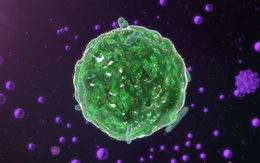 Bão Cytokine trong COVID-19 không mới nhưng chưa cũ