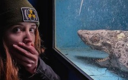YouTuber gan dạ khám phá thủy cung bỏ hoang, tìm thấy "xác cá mập zombie" và nhiều thứ rùng rợn khác