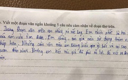 Học sinh viết 5 câu Văn, nhà phê bình Văn học xem xong cũng phải "khóc thét", tác giả chắc "giận tím người"