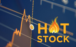 Giá một cổ phiếu gấp đôi sau hơn một tuần