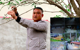 Ảnh: Đại gia Hà Thành xây cổng cao 4 mét, lắp 42 mắt thần bảo vệ vườn "củi khô" tiền tỷ