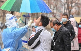 Omicron tấn công trực diện nỗ lực "zero COVID-19" của Trung Quốc