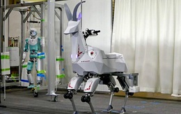 Kawasaki trình làng một con dê robot có thể cưỡi được