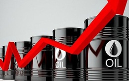 Giá dầu chưa chạm đỉnh nhưng giá xăng ở Mỹ đã đắt chưa từng có: Lý do tại sao?