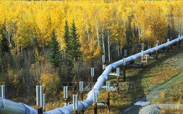 Đường ống Keystone XL có giúp giảm giá xăng cao kỷ lục ở Mỹ?