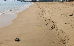 Phát hiện dầu vón cục dạt vào bãi biển ở Nha Trang