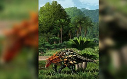 Phát hiện loài khủng long bọc thép mới tại Trung Quốc