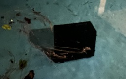 Nữ streamer 15 tuổi bị bố ném bộ PC tự bỏ tiền túi ra mua xuống bể bơi: Quyết định không nhận tiền giúp đỡ từ fan vì một lý do nhạy cảm