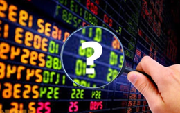 Một cổ phiếu tăng gấp rưỡi sau vài phiên giao dịch, cổ đông lớn nhất là doanh nghiệp thuộc “hệ sinh thái” DNP