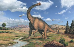 Khủng long Brachiosaurus, chỉ cần nôn thôi đã có thể giết được bạn rồi!