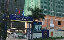 42 cổ đông muốn đưa người Louis Holdings vào HĐQT, Địa ốc Hoàng Quân (HQC) phản ứng thế nào?