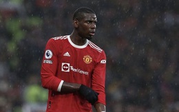 Paul Pogba: Tôi đã lãng phí 5 năm sự nghiệp ở M.U