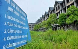 Chủ nhiệm Ủy ban Tư pháp: "Ngay Hà Nội có khu đô thị 10 năm chỉ có 1 nhà ở, cỏ mọc lút đầu, bỏ hoang"