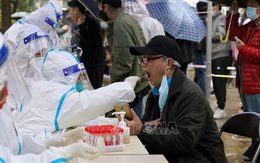 Thượng Hải (Trung Quốc) nỗ lực tránh phong tỏa toàn diện vì đại dịch COVID-19