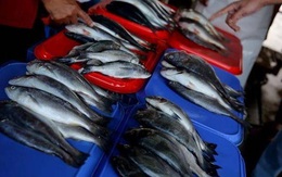 Đi mua cá nên tránh chọn 3 loại này vì dễ chứa nhiều kim loại nặng, ăn vào không tốt lại còn phí tiền