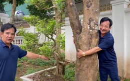 NSƯT Quang Tèo giới thiệu vườn cây tâm đắc của gia đình ở Thạch Thất