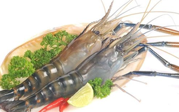 Người mắc COVID-19 nên ăn hay nên kiêng tôm?