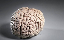 Mắc COVID-19 thể nhẹ cũng có thể dẫn đến thay đổi trong não bộ