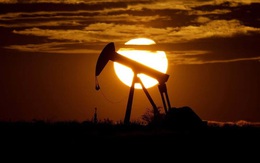 Dầu Nga bị cấm vận: Toàn cầu chao đảo, Châu Á đối mặt với mức chi phí "khủng khiếp"