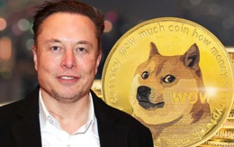 Elon Musk gọi tên Dogecoin trong đề xuất mới nhất cho Twitter: Ý định gia nhập Twitter đã rõ?