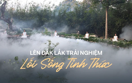 Tôi thử sống tỉnh thức và chữa lành tại Thành phố Cà phê của ông Đặng Lê Nguyên Vũ