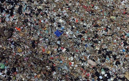 Hệ lụy khủng khiếp từ cuộc chiến chống Covid-19 ở Hồng Kông