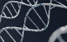 Giới khoa học công bố bộ gien con người hoàn chỉnh đầu tiên