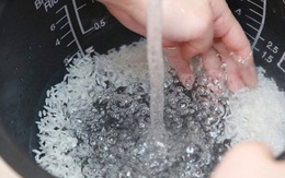 Vo gạo bằng lòng nồi cơm điện gây xước, gây hại sức khỏe? Và câu trả lời của nhà sản xuất