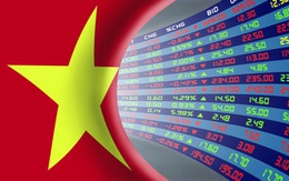"Thị trường chứng khoán Việt Nam đang ở mức giá rất hợp lý cho đầu tư dài hạn"