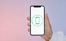 Người dùng ngày càng chuộng mua smartphone tân trang