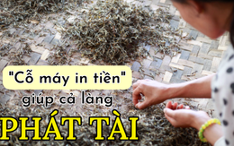 Hy hữu: Cả làng PHÁT TÀI sau 1 đêm, nhà ai sở hữu "cỗ máy in tiền" này thì đếm bạc mỏi tay