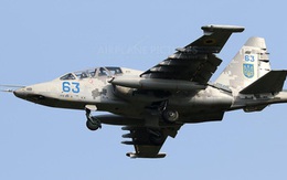 Hệ thống phòng không Nga bắn hạ máy bay Su-25 Ukraine