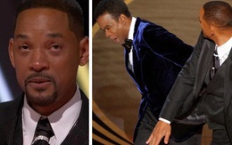 Cái kết ngậm ngùi cho Will Smith sau màn “đi đường quyền” tại Oscar, “tự hủy” sự nghiệp đến mức này liệu có đáng?