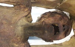 Bí ẩn “xác ướp hoàng tử la hét” 3.000 tuổi với vẻ mặt đau đớn đến ám ảnh: Kết quả phân tích ADN tiết lộ câu chuyện bi thảm đằng sau