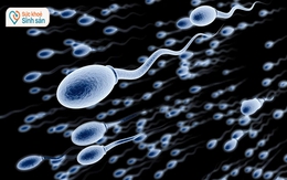 Làm để cải thiện sức khỏe 'tinh binh'?