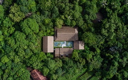 Phú Quốc có resort trong rừng đẹp nhất thế giới mở cửa ra là chạm tay vào thiên nhiên