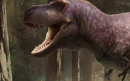 Lý do rùng rợn khiến "tay" của bạo chúa T-rex hầu như biến mất