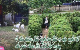 Móc ví chưa đến 200k/ngày, cả gia đình có trải nghiệm đặc biệt tại 4 nông trại giáo dục ngay sát Hà Nội, du hí dịp nghỉ lễ thì quá tiện