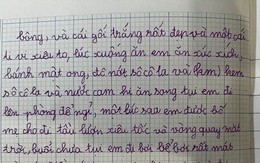 Bài văn kể về chuyến đi chơi của cô bé tiểu học khiến dân tình bật cười thích thú